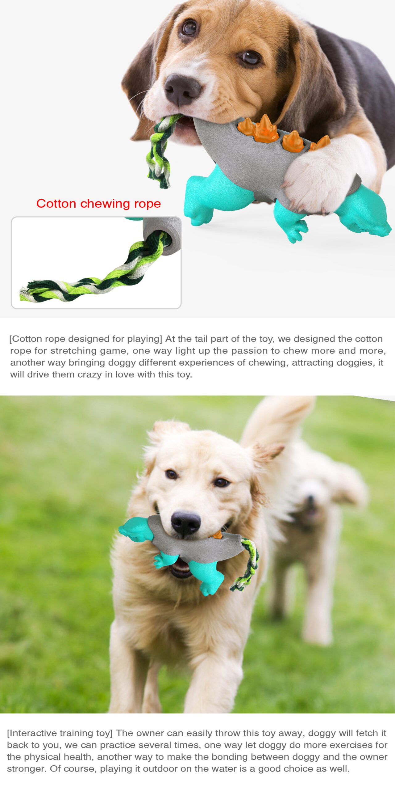 cadeau hond verjaardag - natuurlijke houten kauwspeeltje voor gezellig
