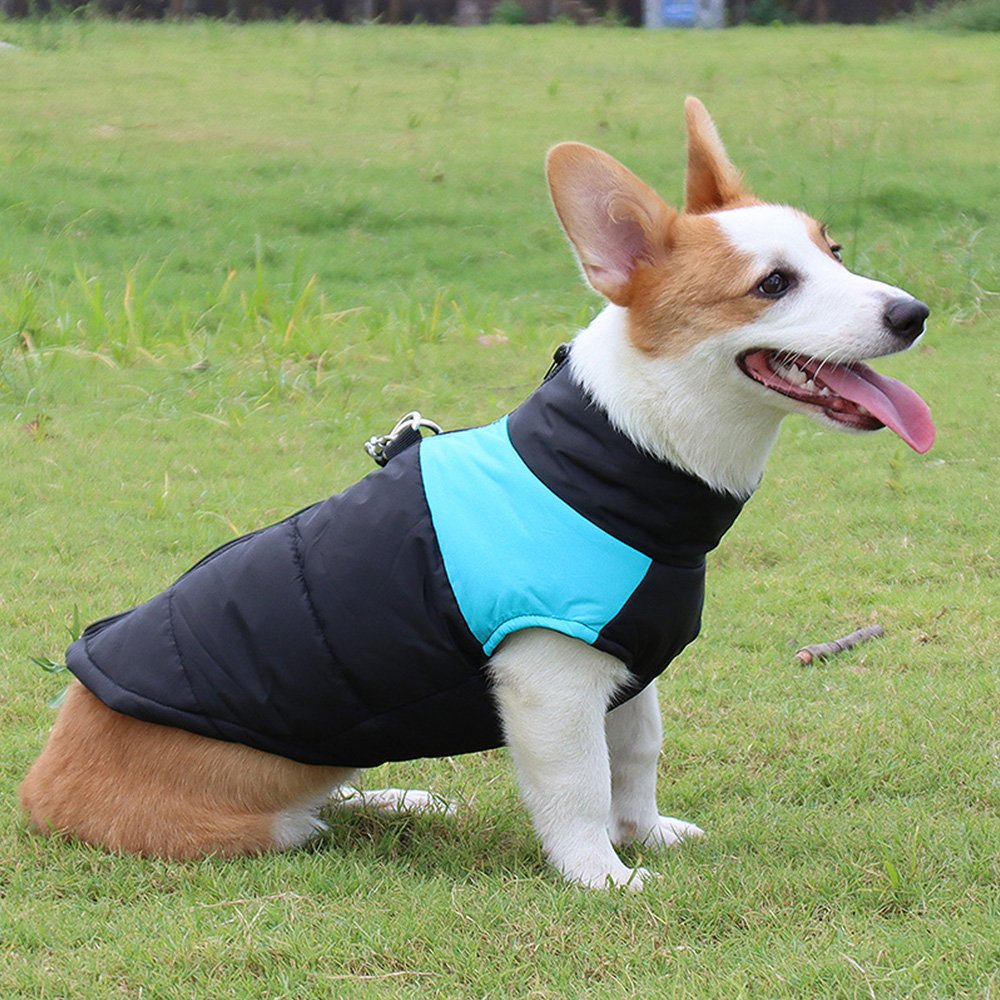 dog classic hot sell cotton vest