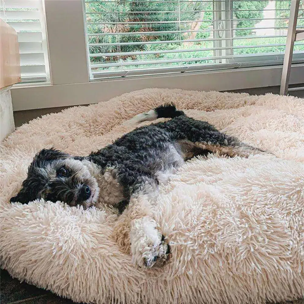 round dog bed