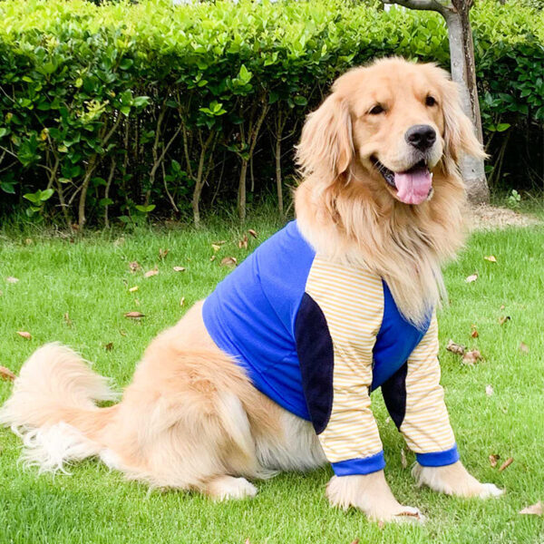 dog elbow guard clothes