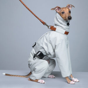 куртка для битья собак8