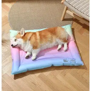 rainbow cooler pet bed6