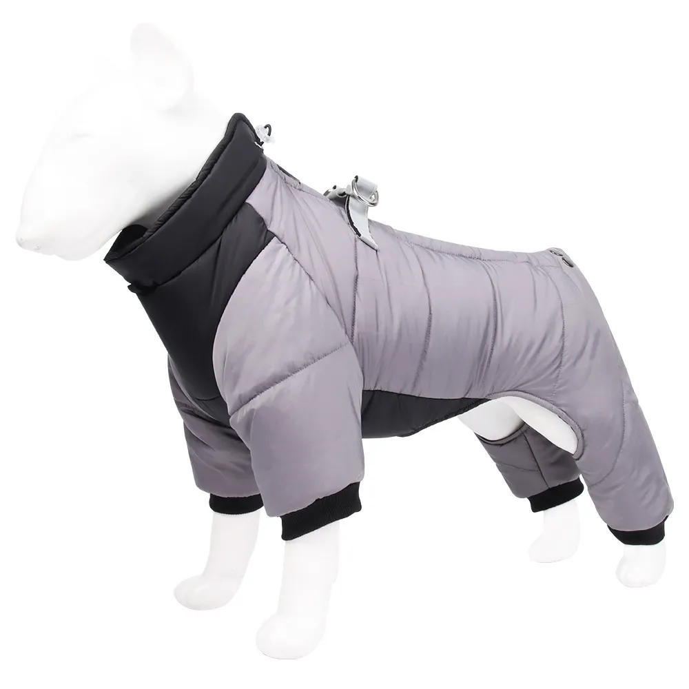 dog winter apparel4