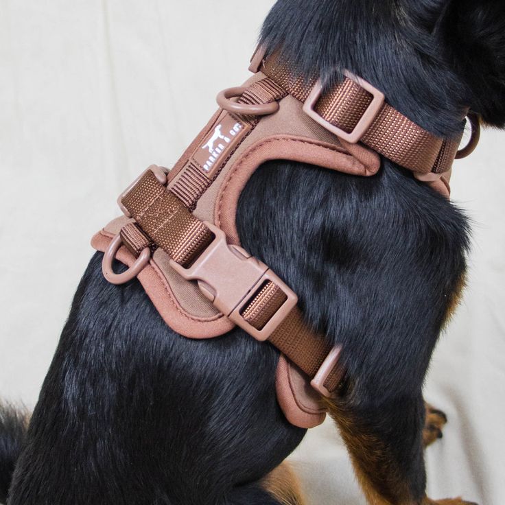 waterproof dog harnesses
