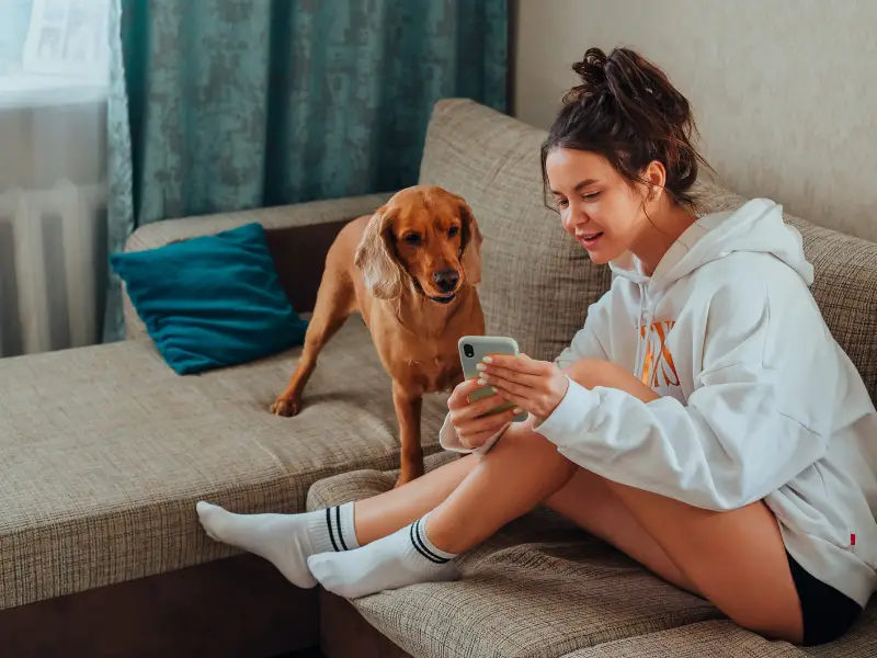 can a dog sleep in a pet carrier (4)