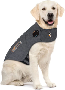 Помогает ли одежда собакам, страдающим от беспокойства