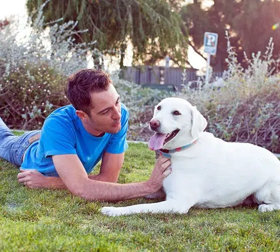 como faço para que meu cachorro goste de usar roupas (5)