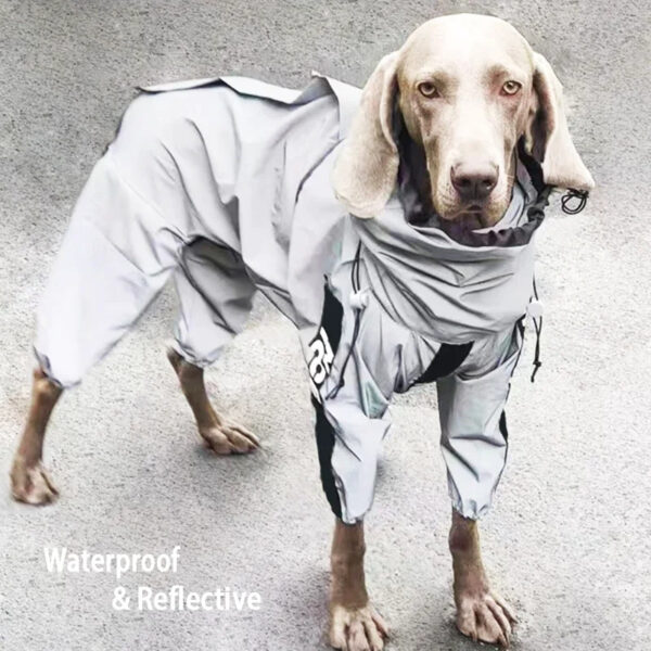 raincoat sunscreen dog outdoor clothes jacket (4)