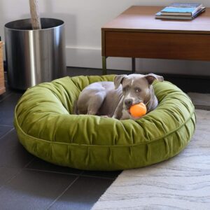 Hvor skal du placere en hundeseng?