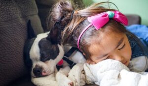 cuscinetto per animali domestici ricamato con l'ago (10)