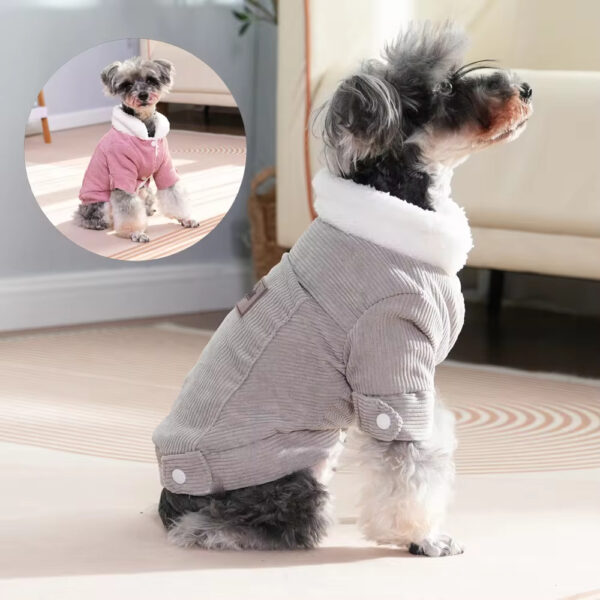 plus velvet thick warm jacket dogs hoodie (1)