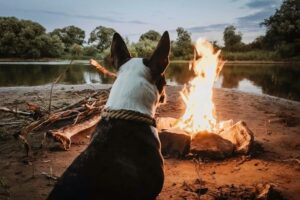 μερικές ιδέες για καλοκαιρινή διασκέδαση (4)