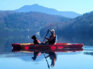 köpeğiniz kanoyu sever mi (2)(2)