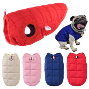 veste de chien coupe-vent hiver chaud (8)