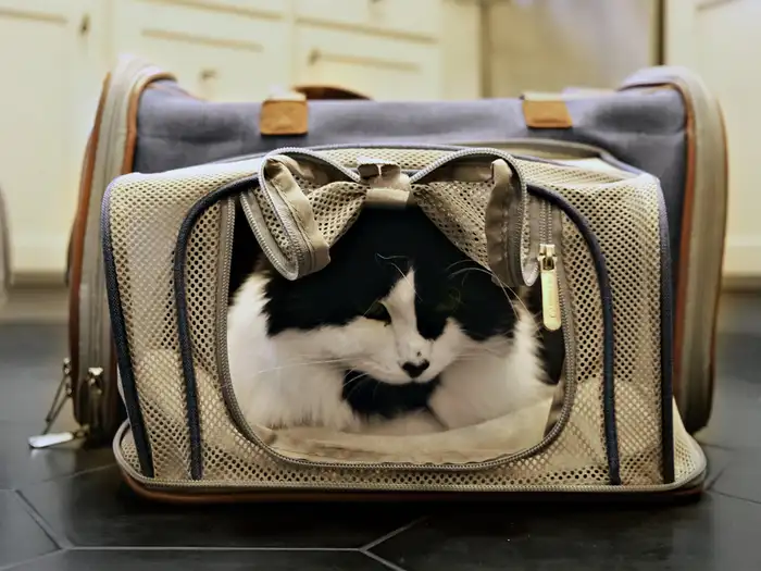 can you wash a pet carrier (3)
