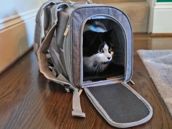 can you wash a pet carrier (5)