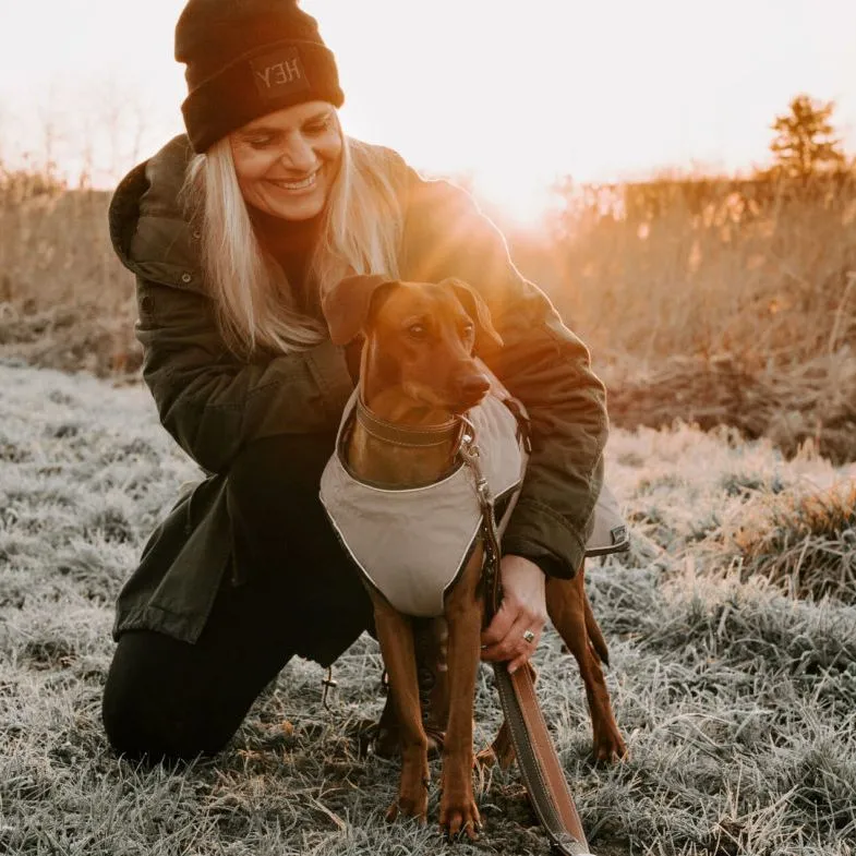 should dogs wear sweaters (4)