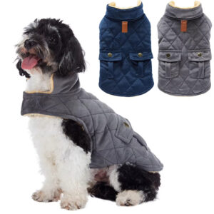winter windproof dog jacket with leash hole (6)