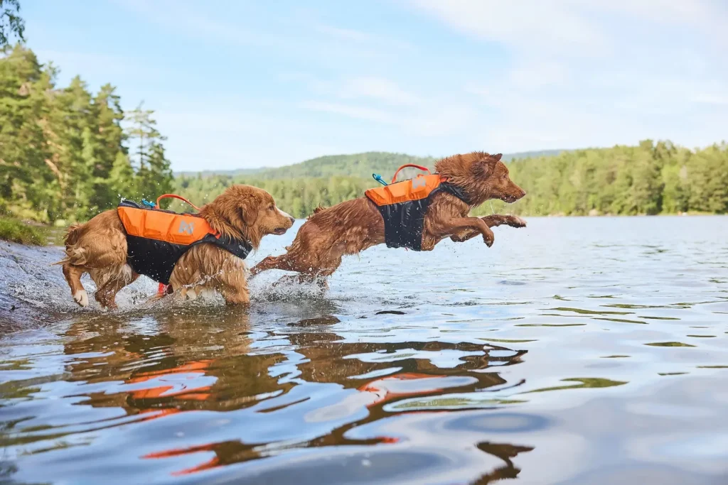 are dog life jackets safe (1)(1)