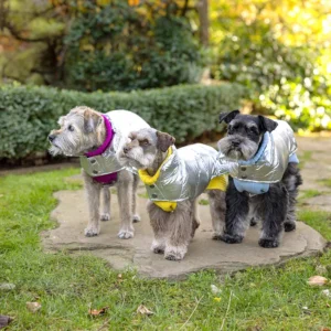 нужна ли собаке шерсть (2)