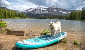 can yelekleri ne kadar önemli (1) (1)