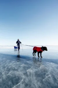 как правильно выбрать куртку для собаки (5)