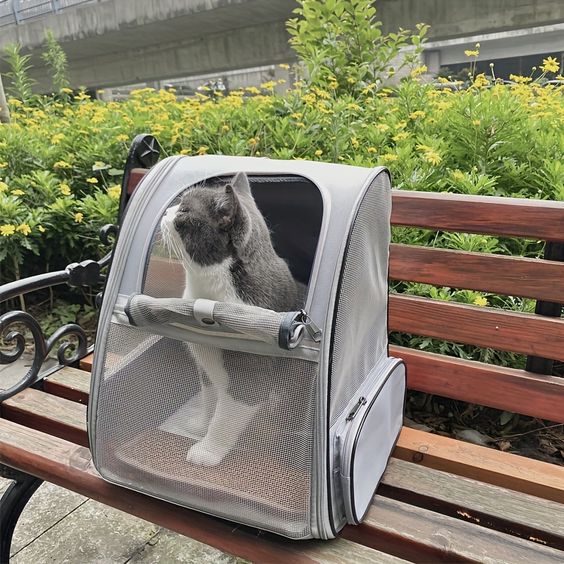 cat backpack