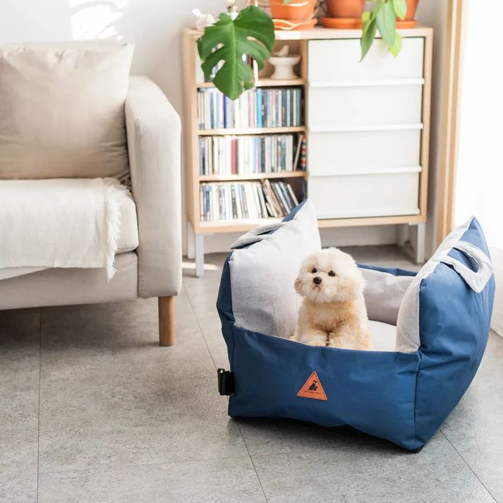 dog carriers (3)