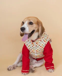 crafting canine style konsten att virka hundkläder tillverkare (2)(1)