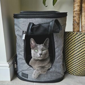 upptäck snygga val med de främsta tillverkarna av transportväskor för husdjur (1)