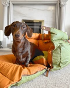 inside the vibrant world of a china pet carrier bag factory (7)
