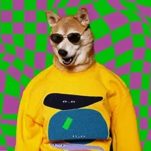 fördelarna med specialtillverkade xs hundkläder hur fabrikerna tillgodoser behoven hos mindre raser (2)