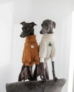 la recherche de la qualité révèle les fabricants de vêtements pour chiens xs (4)