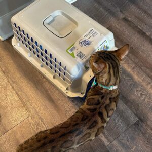 avslöjar hemligheter i trendsättande fabriker för transportväskor för husdjur (2)(1)