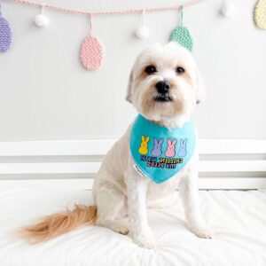 434435413 273166522508343 8322888260676608646 n