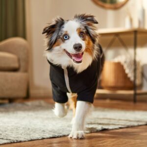 verstelbare dierenkleding bulk (4)