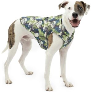 verstelbare huisdier kleding china (5)