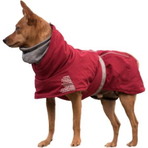 best pet clothes online odm (1)