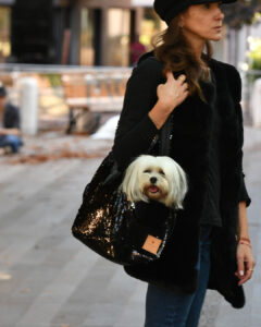 descubra la calidad y la innovación de los mejores fabricantes chinos de transportines de plástico para mascotas (4)