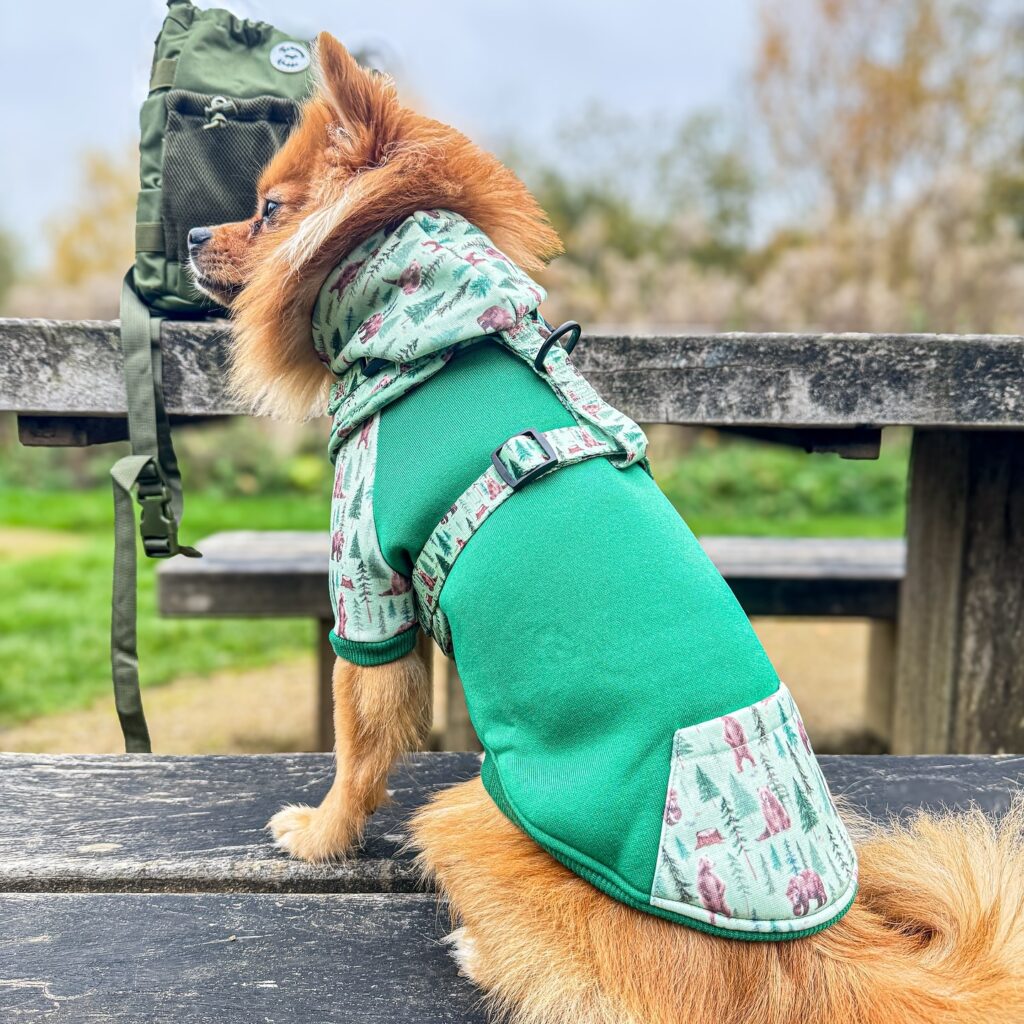 discover stylish and durable 2xl dog clothes from the leading factory for big dogs (7)