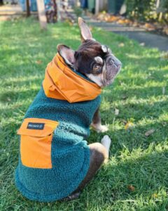 upptäck de bästa hundkläderna från husky factories snygga & funktionella kläder för din valp (1)