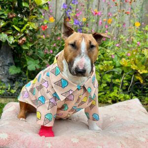 discover the best xxlarge dog clothes factory for stylish and comfortable apparel (7)