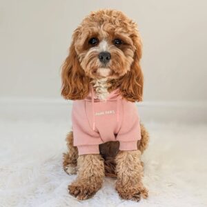 miten valita oikean kokoinen koiran vaatteet täydellinen opas lemmikkieläinten omistajille (1)