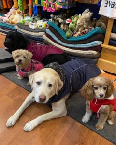 inuti puppy dog pals klädfabriker som tillverkar glada kläder för barn (4)