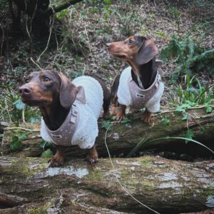 shoppa unika stilar på din gå till oförskämd hundklädesleverantör för fashionabla husdjurskläder (2)