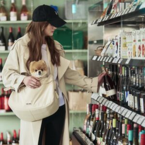 top china pet carrier bag manufacturers stylish & safe solutions for pet owners (3)