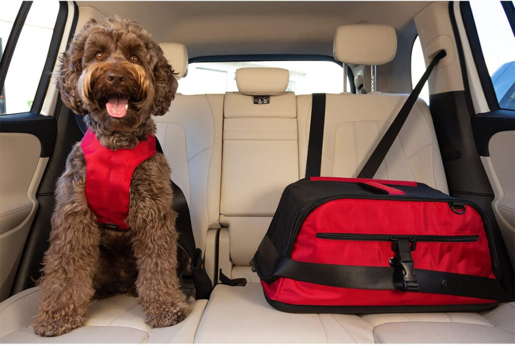airline approved pet carrier (1)