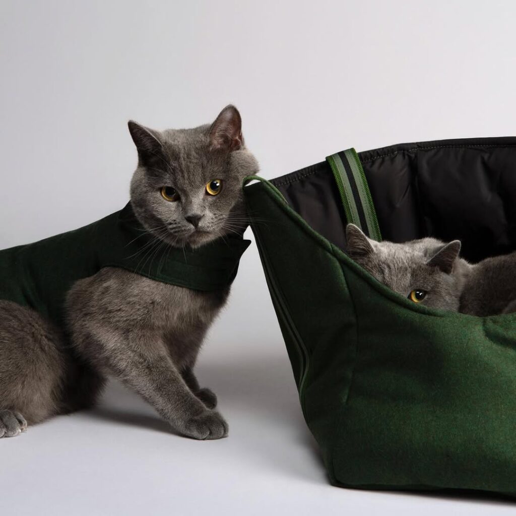 behind the scenes at a cat carrier bag factory quality, style, and comfort for pet owners