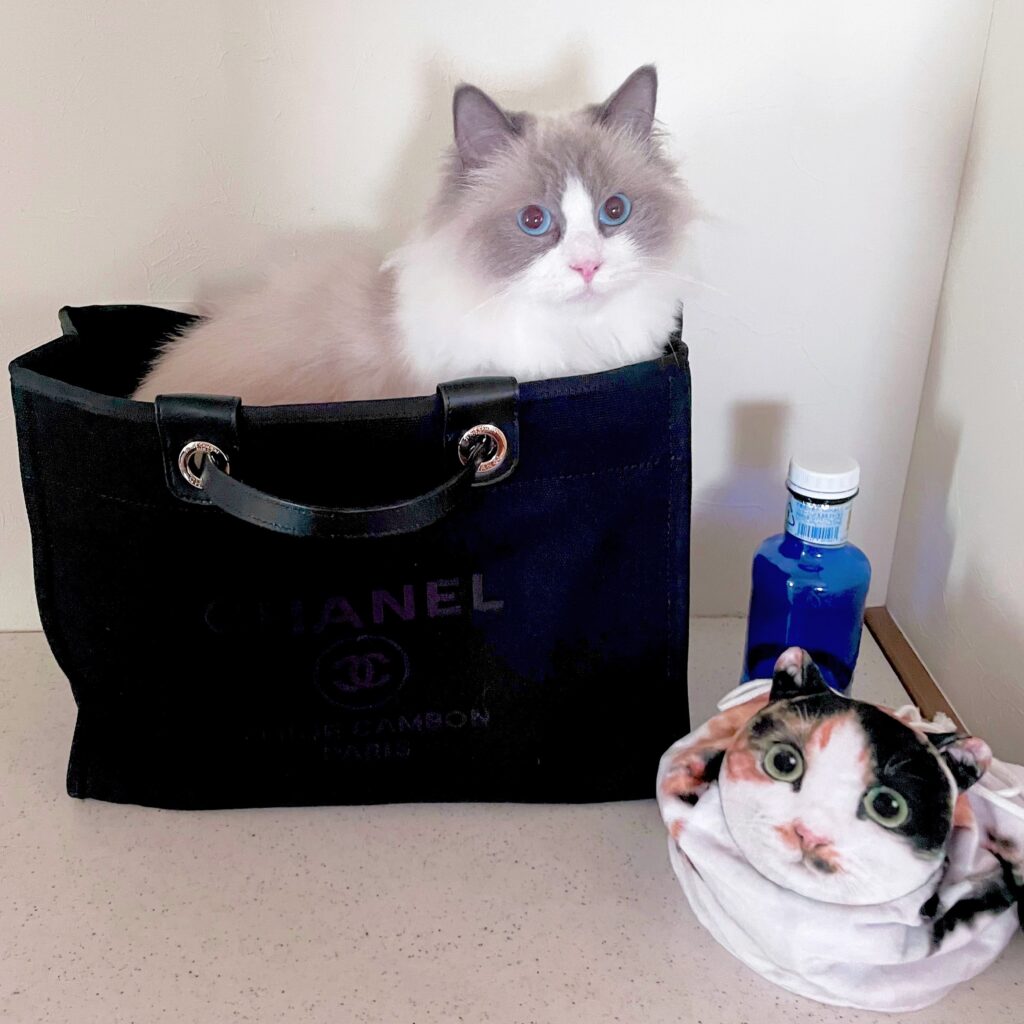 behind the scenes at a cat carrier bag factory quality, style, and comfort for pet owners (2)