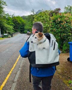 bekvämlighet möter hållbarhet upptäck odm hundbajspåsar för husdjursägare (4)